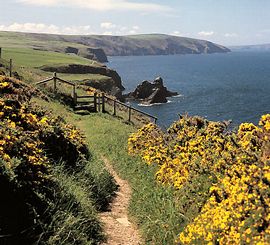 Pembrokeshire Coast Path 